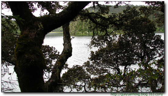 �����մ����ҹ�԰-���ϵ���