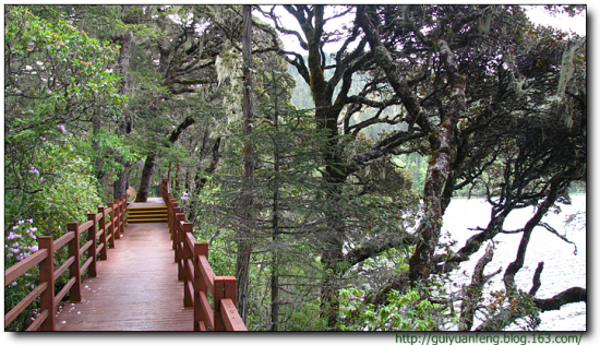 �����մ����ҹ�԰-���ϵ���