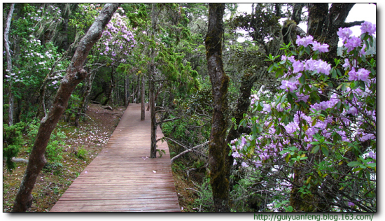 �����մ����ҹ�԰-���ϵ���