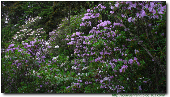 �����մ����ҹ�԰-���ϵ���