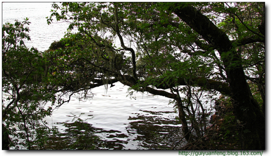 �����մ����ҹ�԰-���ϵ���