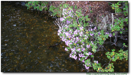 �����մ����ҹ�԰-���ϵ���