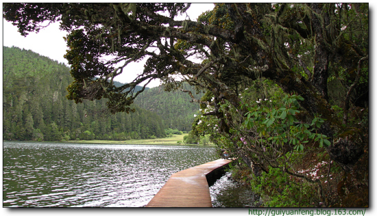 �����մ����ҹ�԰-���ϵ���