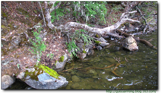 �����մ����ҹ�԰-���ϵ���