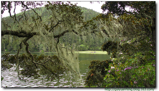 �����մ����ҹ�԰-���ϵ���