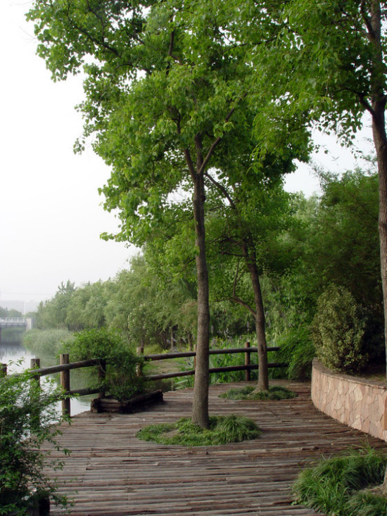 ������ʧ�ĳ���ʪ��-��Ȼ�羰