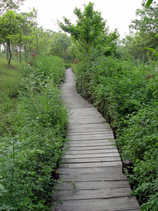 ������ʧ�ĳ���ʪ��-��Ȼ�羰