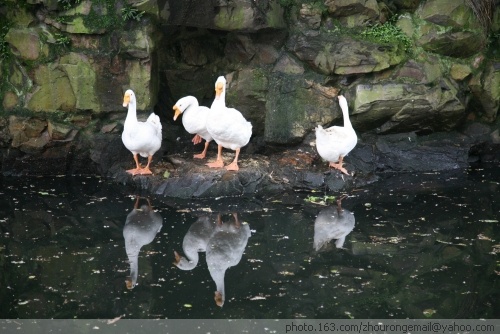 ������ͤ�ŷ�-��Ȼ�羰