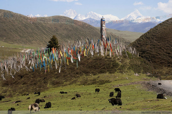 ��ɽ��԰-��Ȼ�羰