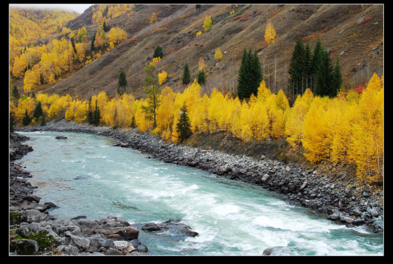 ��ľ��ɫ-��Ȼ�羰