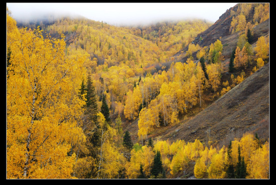 ��ľ��ɫ-��Ȼ�羰