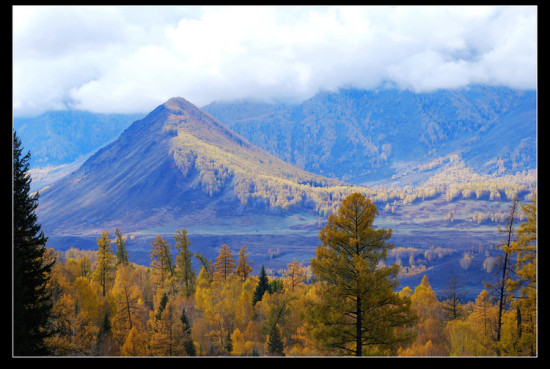 ��ľ��ɫ-��Ȼ�羰