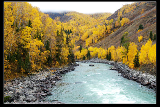 ��ľ��ɫ-��Ȼ�羰