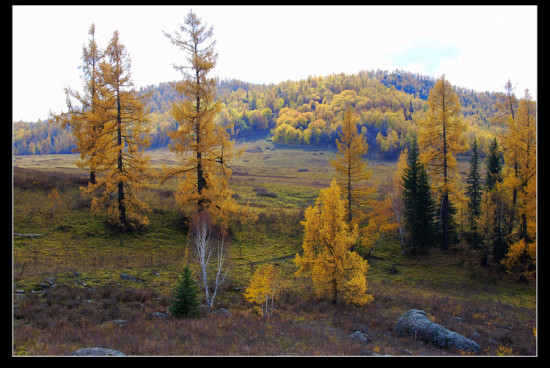 ��ľ��ɫ-��Ȼ�羰