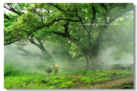 ���״�ׯ-ϼ��-��Ȼ�羰