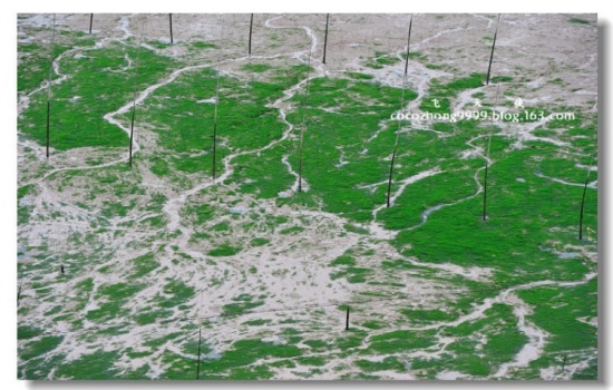 ���״�ׯ-ϼ��-��Ȼ�羰