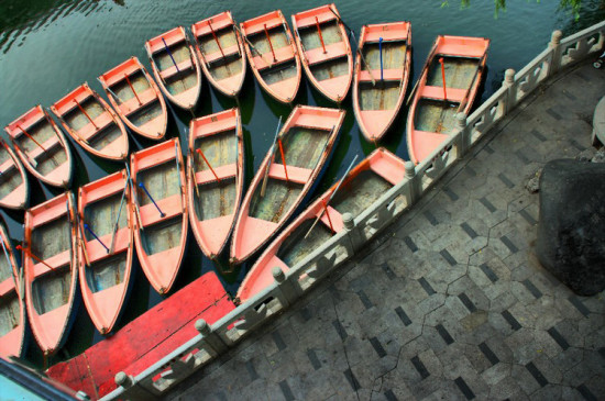 ����Ȫ�ǹ�԰������-������Ӱ