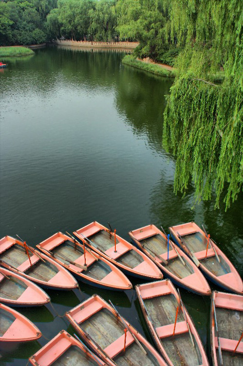 ����Ȫ�ǹ�԰������-������Ӱ