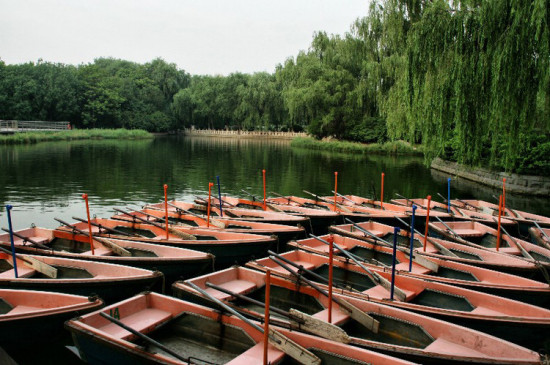 ����Ȫ�ǹ�԰������-������Ӱ