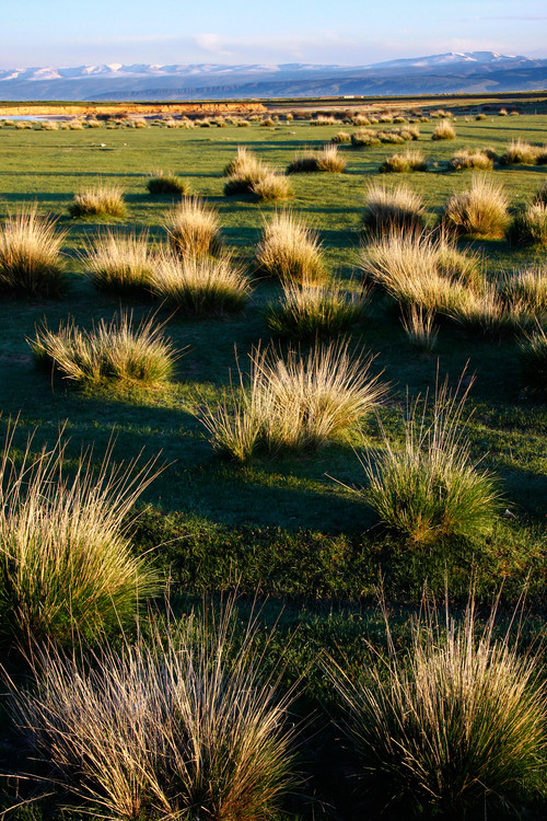 ���ຣ��������-��������