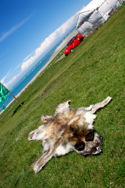 ���ຣ��������-��������