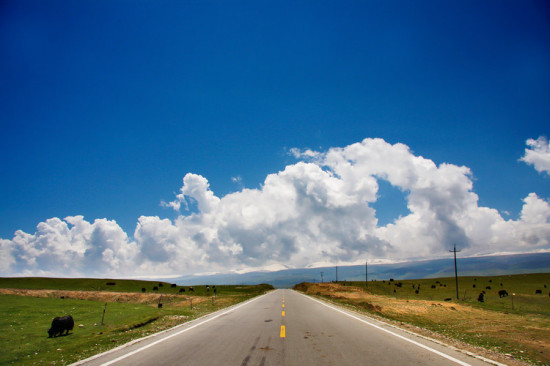 ���ຣ��������-��������