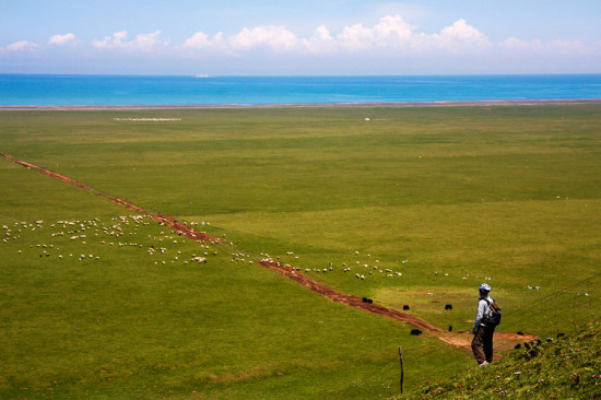 ���ຣ��������-��������