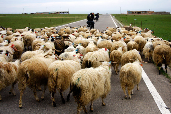 ���ຣ��������-��������