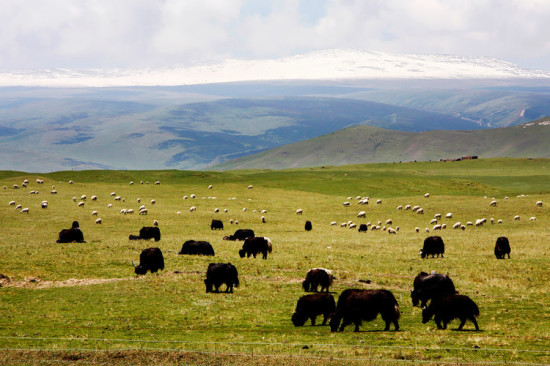 ���ຣ��������-��������