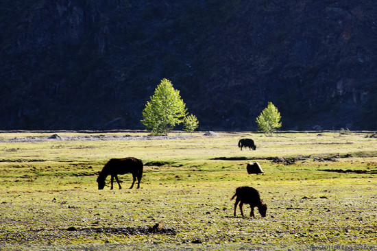 ��կ����-���ϵ���