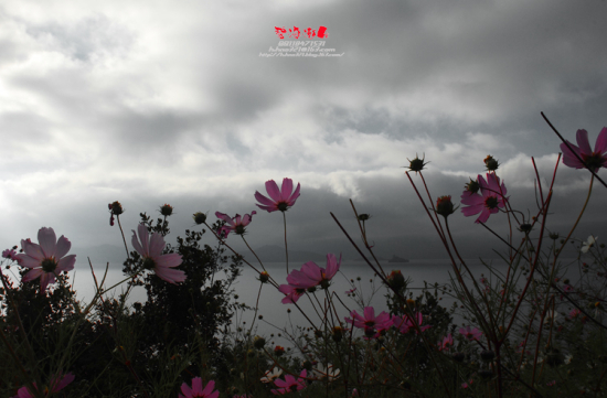 �����--��������-���ϵ���