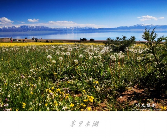 ����֮�С�������ľ��������-��������