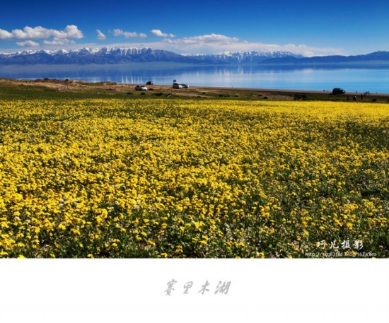 ����֮�С�������ľ��������-��������