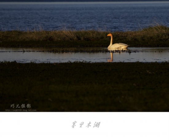 ����֮�С�������ľ��������-��������