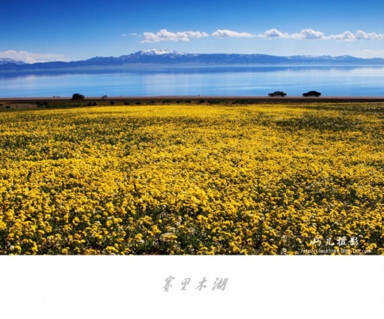 ����֮�С�������ľ��������-��������