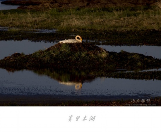 ����֮�С�������ľ��������-��������