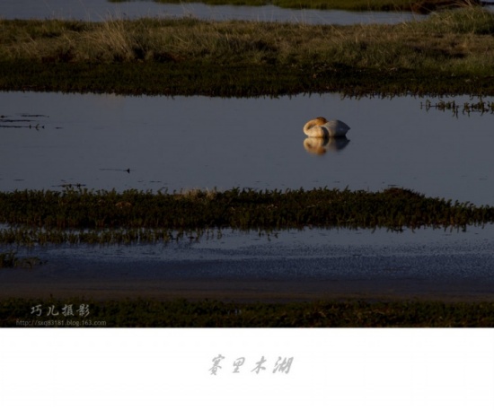 ����֮�С�������ľ��������-��������