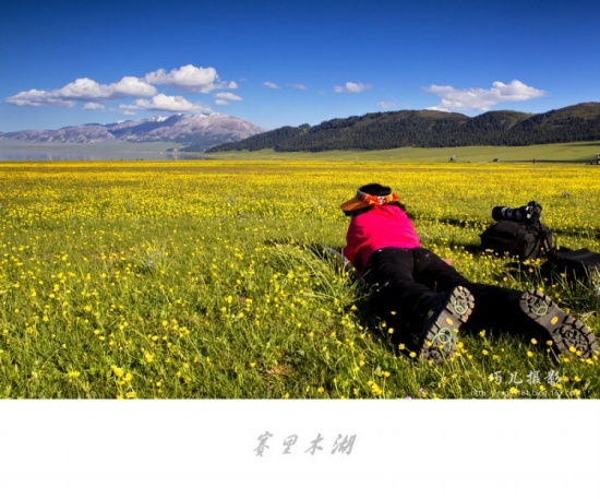 ����֮�С�������ľ����һ��-��������