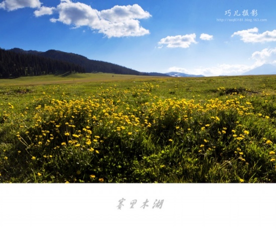 ����֮�С�������ľ����һ��-��������