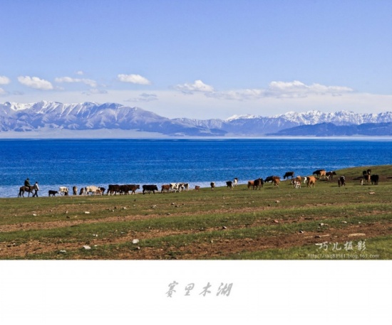 ����֮�С�������ľ����һ��-��������