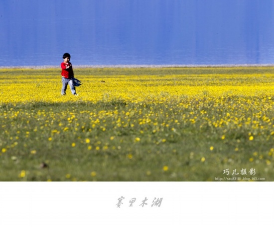 ����֮�С�������ľ����һ��-��������