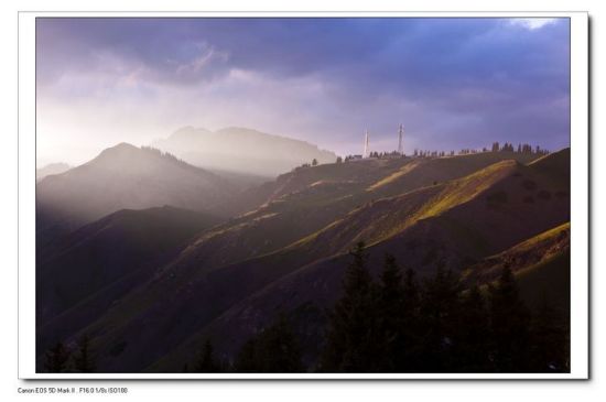 ����ľ������-��������