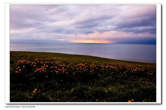 ����ľ������-��������