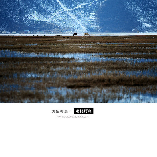 ��ʥ÷��������-���ϵ���