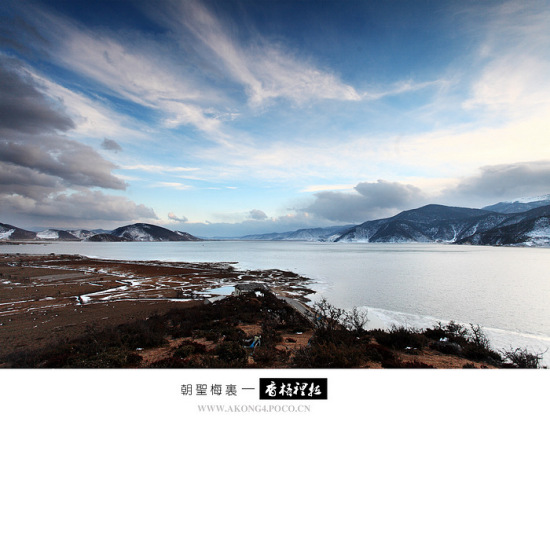 ��ʥ÷��������-���ϵ���