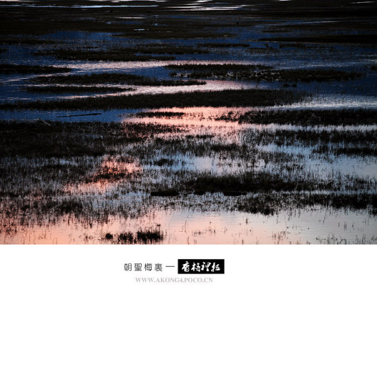 ��ʥ÷��������-���ϵ���