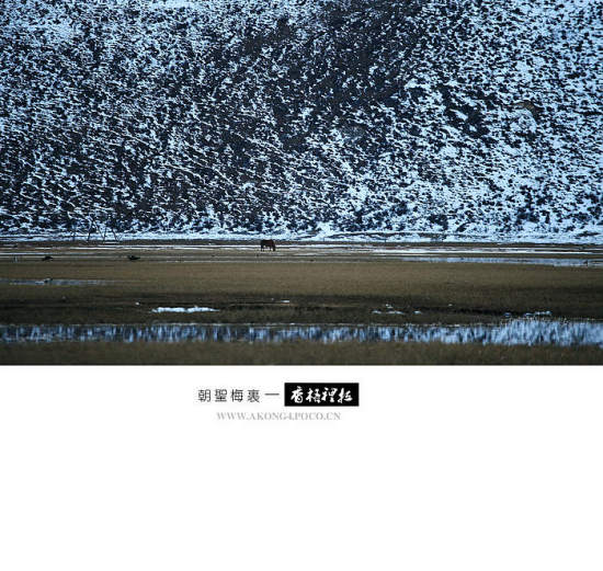 ��ʥ÷��������-���ϵ���