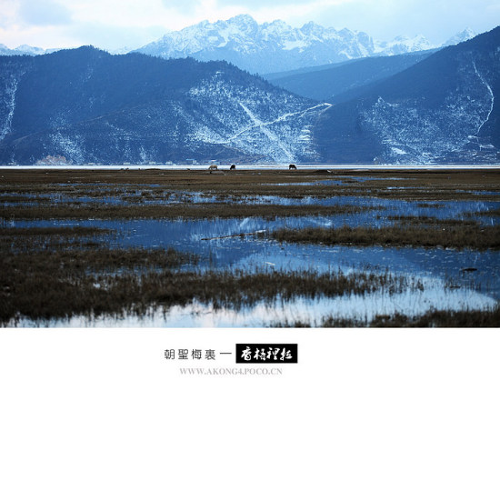 ��ʥ÷��������-���ϵ���