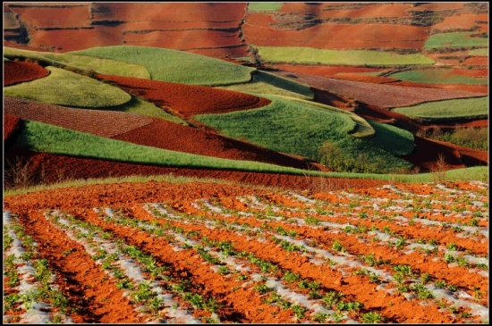 ����Ȼ��ɫ���ջ� ���϶���������-���ϵ���