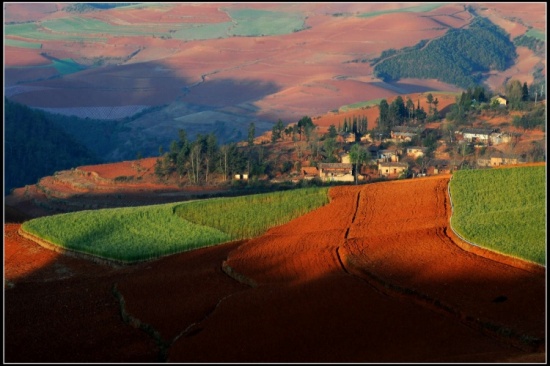 ����Ȼ��ɫ���ջ� ���϶���������-���ϵ���